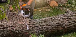 Best Aeration Services  in Rutgers University Busch Campus, NJ